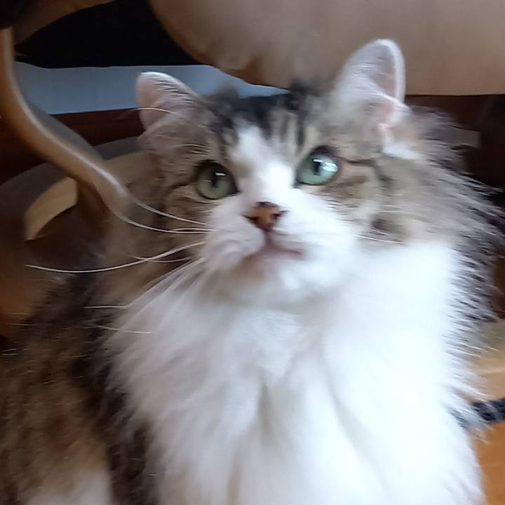 414e715a 7648 4cd0 89fa d17546ad2237 1689421319881