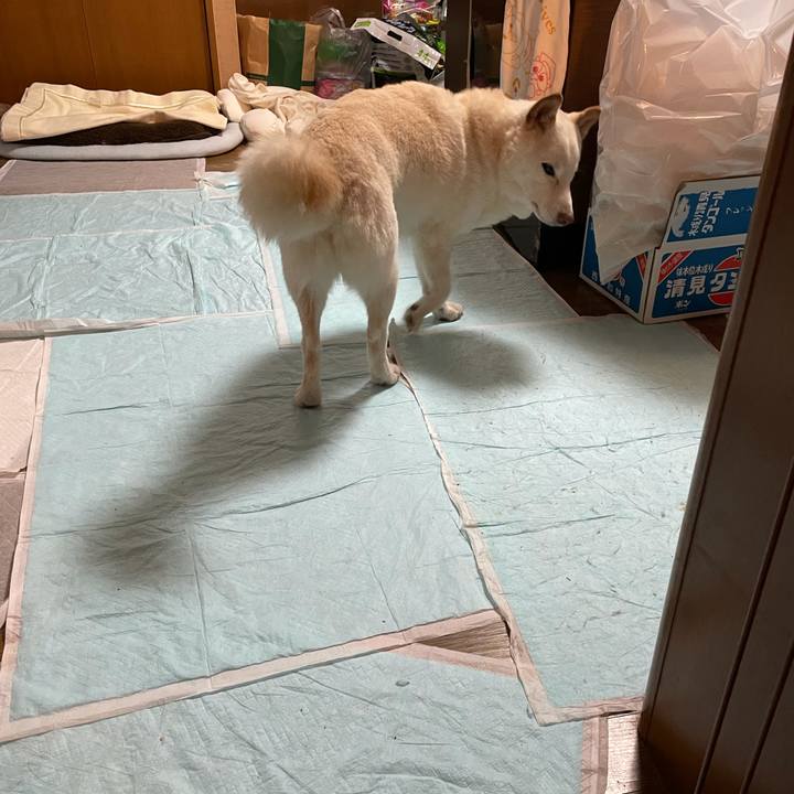 414ea75d daa4 464e 8db7 572a38687837 1635133943790