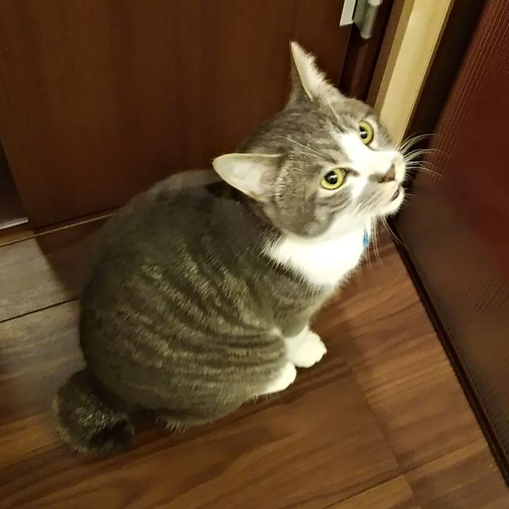 414edce9 2694 4669 9c27 df7dea08aacd 1579187940175