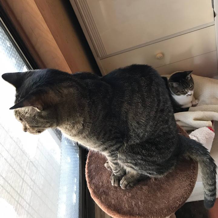 414eedc1 0aed 482a 89a1 8c8f7acce44b 1532134579646