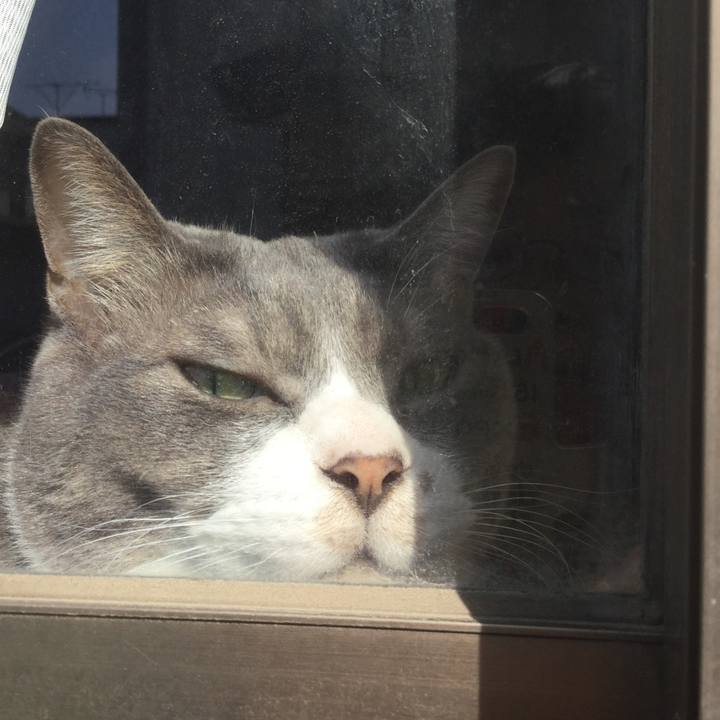 414ef646 b440 484d 9e53 89609c9c0a38 1550303989005