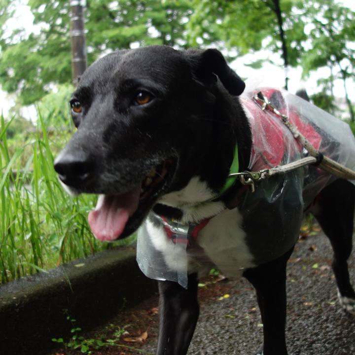 414f058e 7bf6 4533 8cbf 51f279b148f9 1652489568999