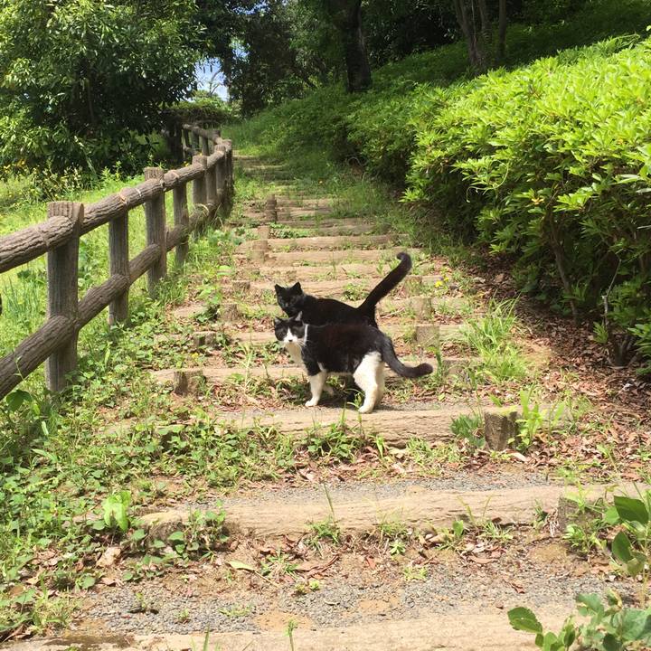 414f06f0 4ade 4fe6 bd71 71ea65b962c5 1525593132113