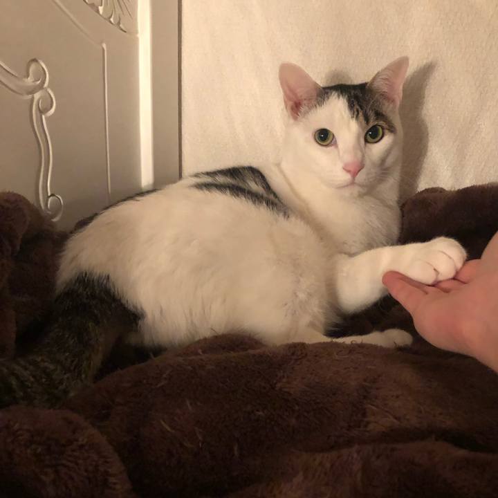 414f4f0a 1e69 4f79 b7bc 5531f75fce3d 1546180916990