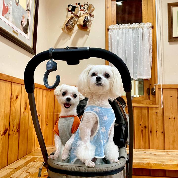 414f73b7 d7c6 4a68 aa3a 7c99f3cb08b0 1634550478054