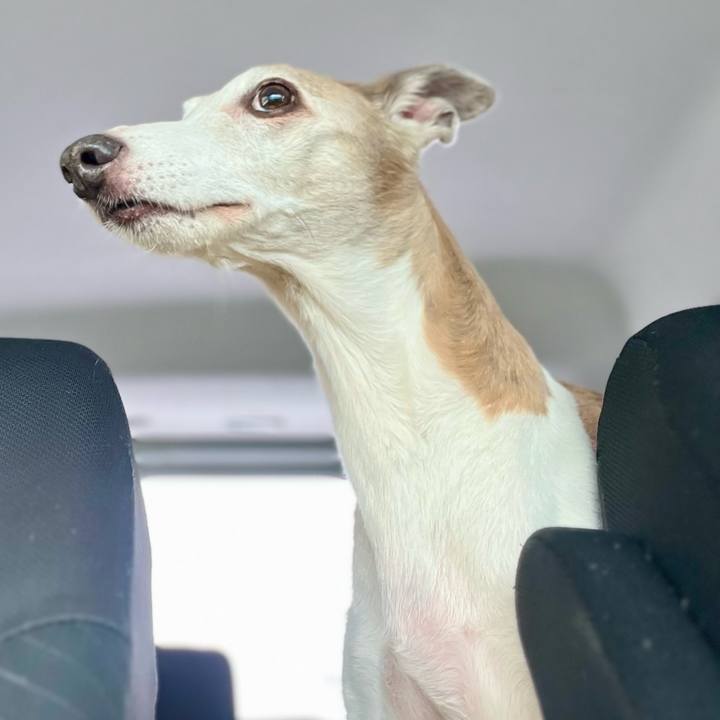 414f93cb c06d 4094 b73f f8d7ec47a323 1768724644929