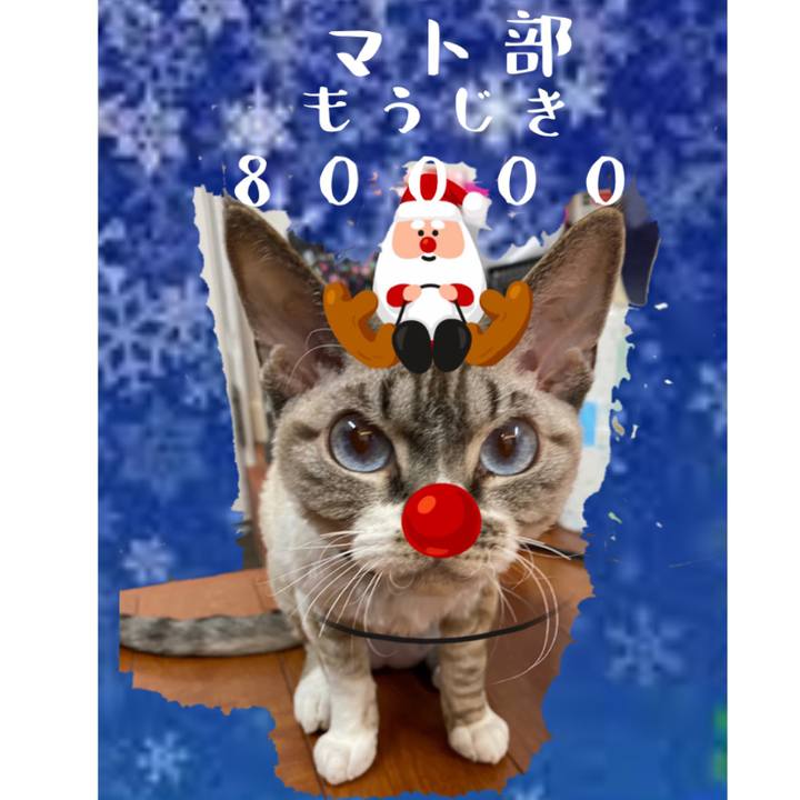 414fb61f 62f1 45b0 b75e 60aa73b9bcc4 1608799127403