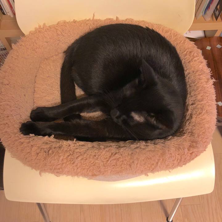 414fe202 1adb 4425 bb84 6ae1b4644108 1523283161684