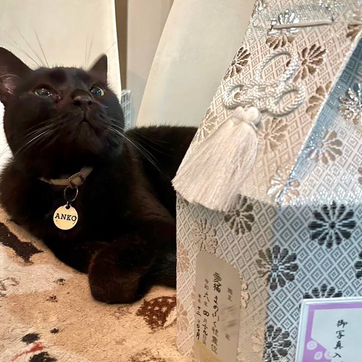 414fe6ff 775b 49f9 96a5 ec92f5a2e251 1714565054181