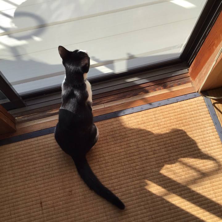 414fe783 05b3 4843 9484 01cae8746df1 1633910850979