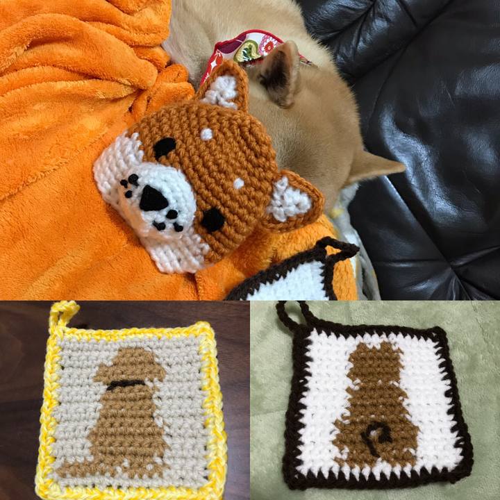 41504684 c984 44eb 83d5 77301d7bfec0 1541051816983