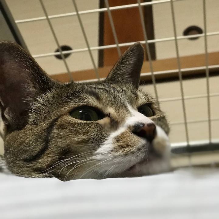 41513a8c 1966 494e ba7c 458b56cb2b59 1534463760142