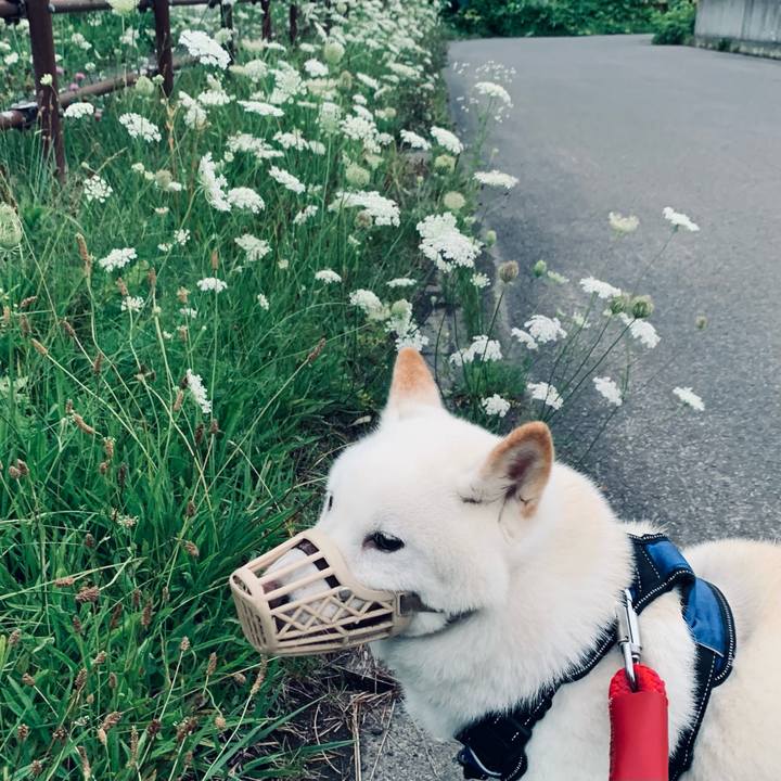 41513c47 27e0 44d9 ae49 6830d559658f 1660077979241