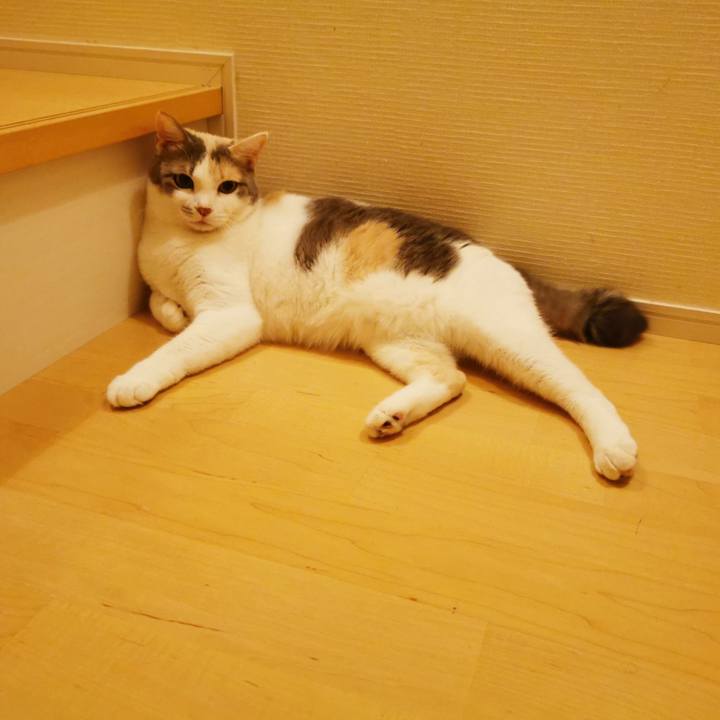 41514a66 826c 4880 8365 2d5e98bca941 1664857034251