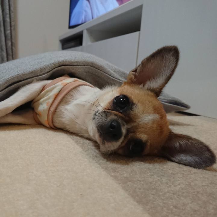 415165e5 07c6 430d 9b18 2f869ebe528b 1541576890213