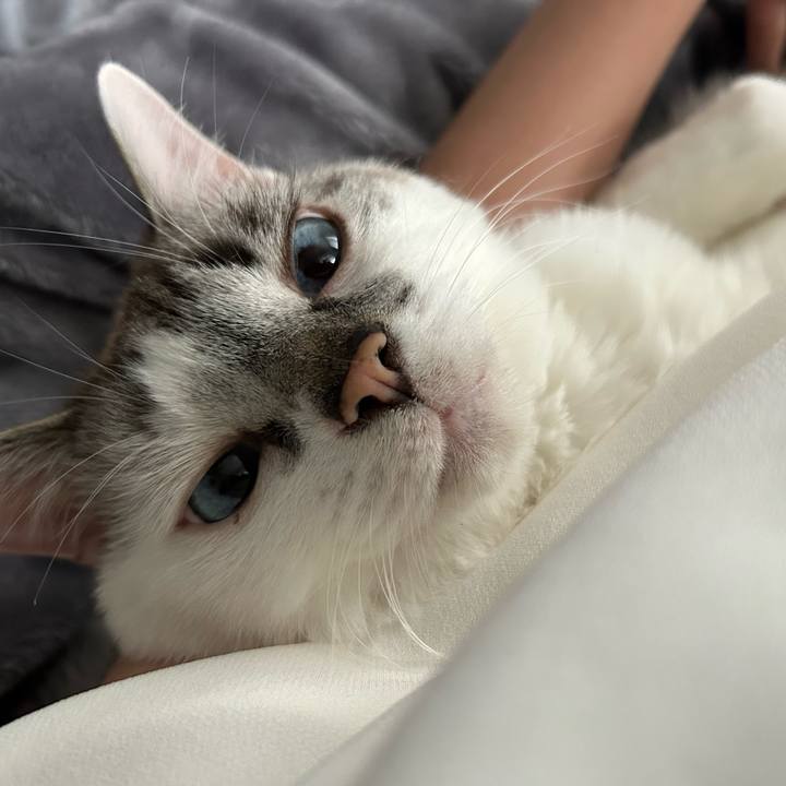 41517a72 3083 414c 9014 be49a3195168 1685661376029