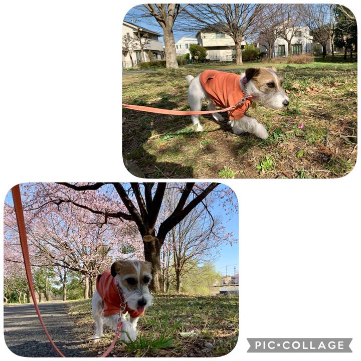 41518195 3ab4 4f46 b7b8 abc9df57ec75 1615361940782