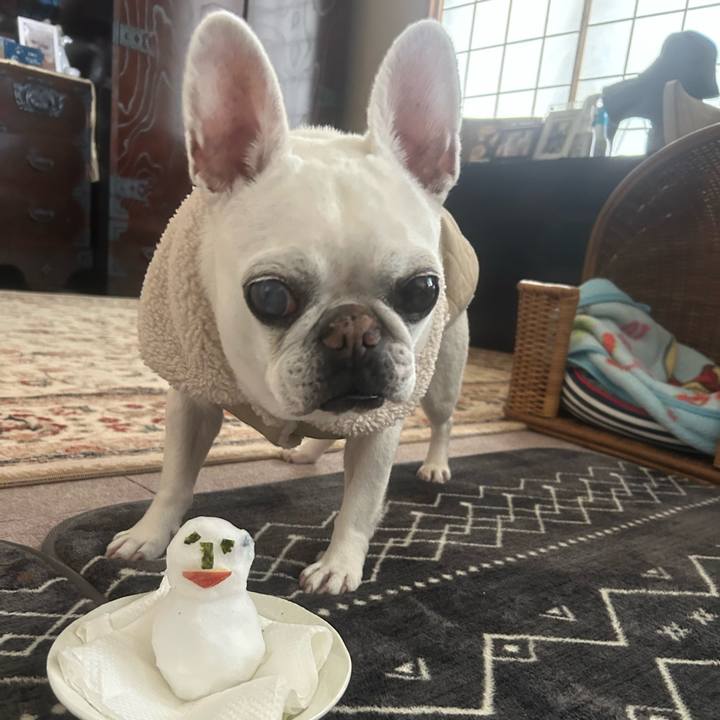 41519c94 5e7f 4ecd a482 c50657df0e71 1770532439366