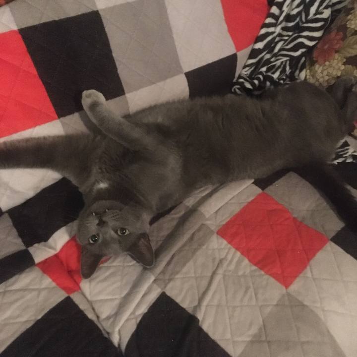 4151c7ad b341 497a 8b8c a91bd2e97eb7 1655513856484