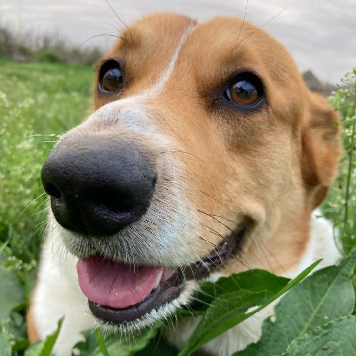 4151f083 363a 45c8 87d1 ed436fc20f48 1680313833973