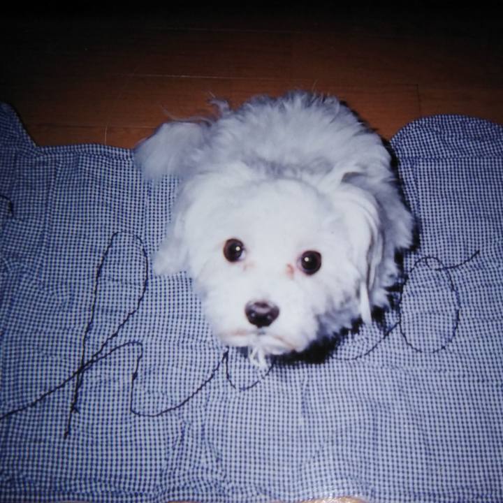 41520d56 56d5 497d 9746 d50073c0a211 1599219719376