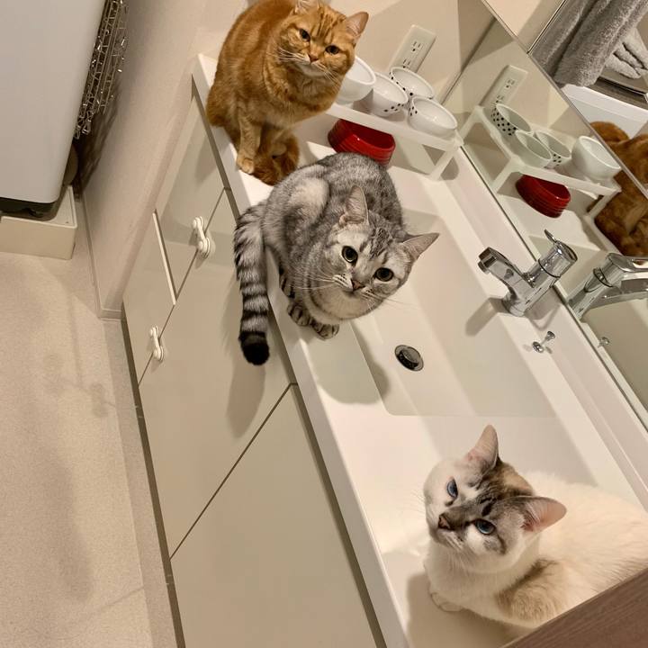 415228a8 8a0e 43ee 8b61 63e5b1836804 1616486550760