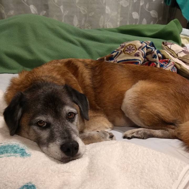 41525336 9643 4f92 bbd0 b505186065da 1573429870696