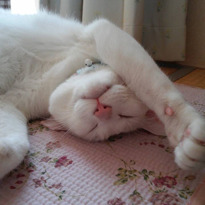 41526e07 63e7 4403 9012 75be54ec473c 1524371437581