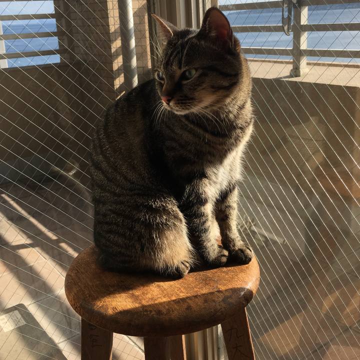 41529ad3 7e87 426f ab7c 5fc2e61bda38 1548983974687