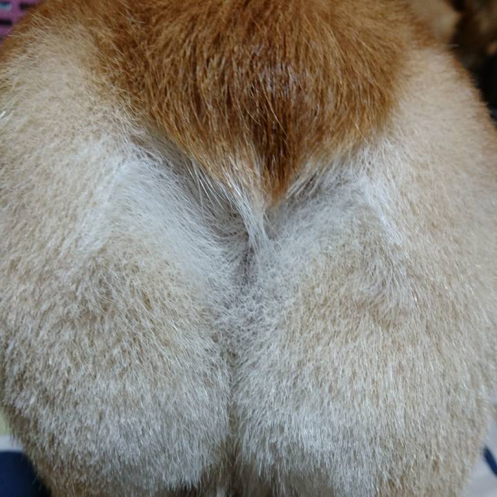 41529b01 6c62 4f15 855b aa8f3d1917b6 1569297108509