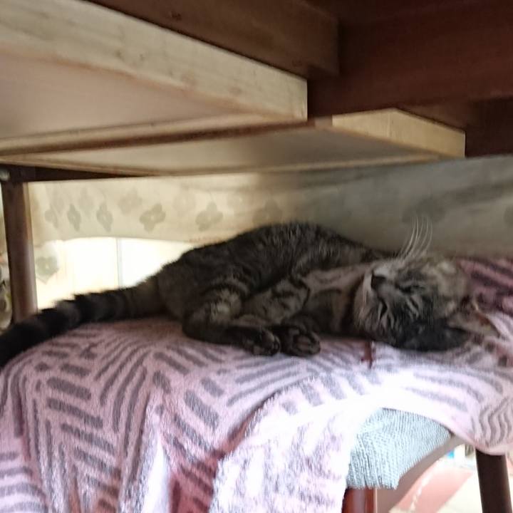 4152b161 9279 4bb8 9220 fd10ba947be6 1588457531428