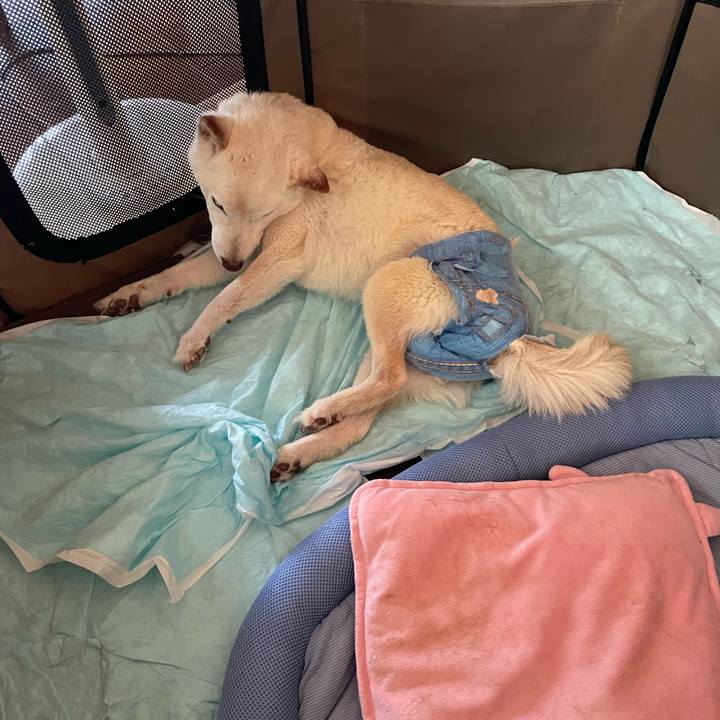 4152b1e6 88b8 4e07 9309 d0f5dcc24dcb 1656669429128