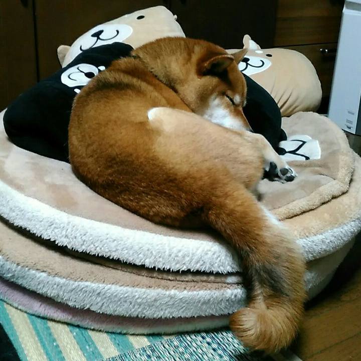 4152b4b0 e567 4549 a5e5 7bdd46f9cd34 1556533603813