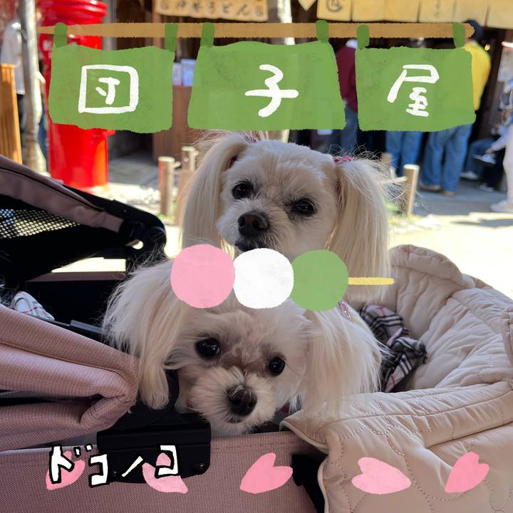 415313aa 37ce 48cb 9ea3 74e9b5b7d0a7 1712374220135