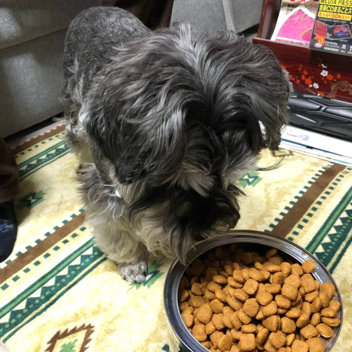 41531784 312a 4fb6 93fb 35cbb9fdc644 1617286287598