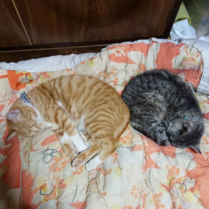 415324b0 1afd 41a3 827b 7d22ddff0a88 1570359766628