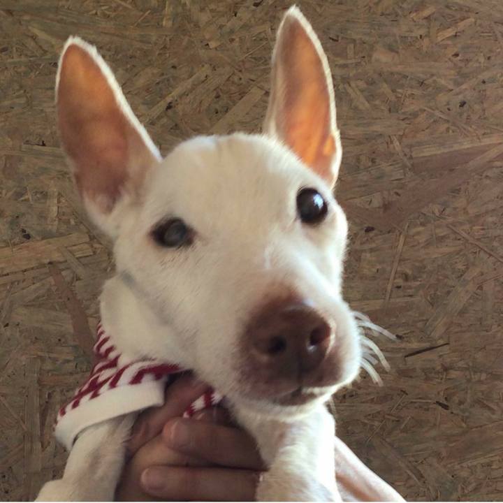 4153520f 646e 40af 85d7 d2203e956a3d 1613979071989