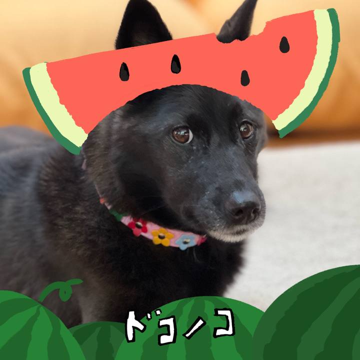 4153593d 7a99 43c8 96e7 977676011b40 1720764793917