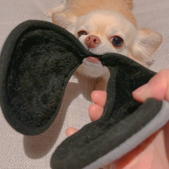 415368d8 43d6 4043 bb38 1db2d90733d2 1706094796790