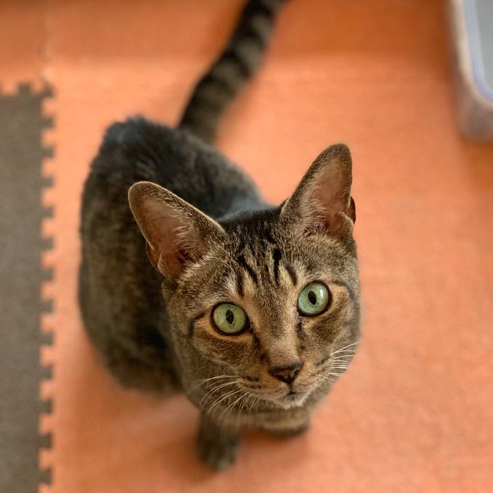 4153aced 7939 4202 a1ef ea2fa5b5c898 1566004026373