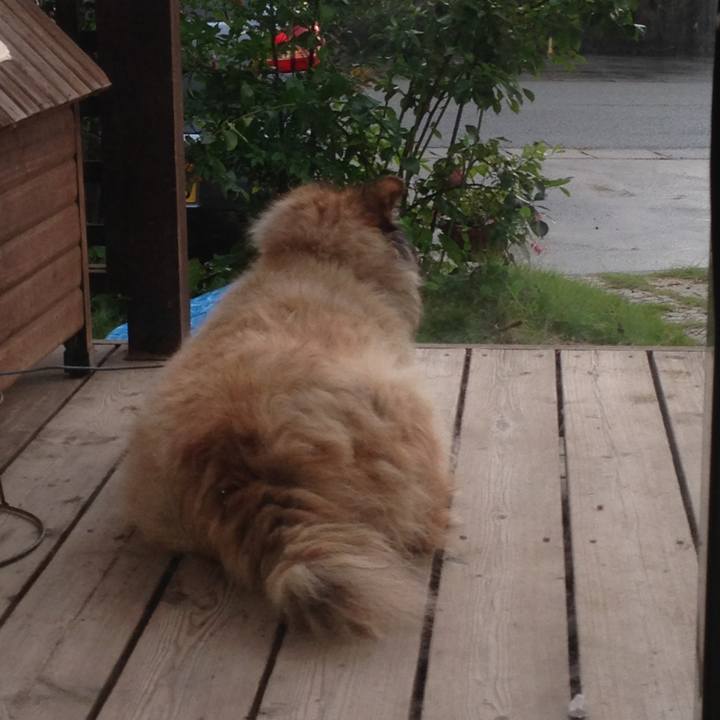 4153fec6 2722 4ae8 87cd a583b115a352 1591664072766