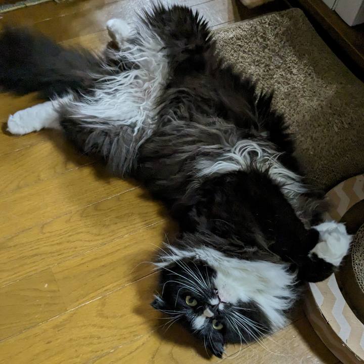 4154008b fca4 4ec2 a5d9 7583d174e0e7 1718409240097