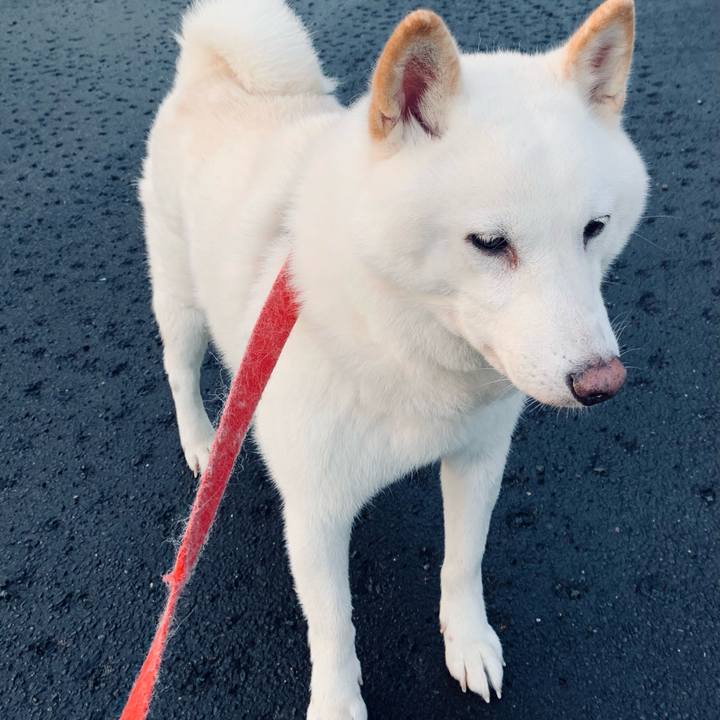 415411df be07 4705 bdb4 f6b81b3c3d7e 1602021040651