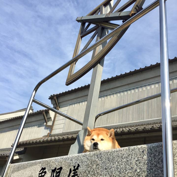 415433ac b307 4e4b 8a09 63cef944b0cd 1551325188916