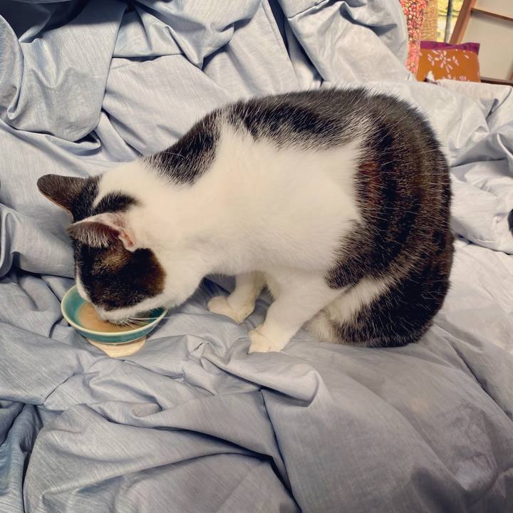 41543f5a 2252 42fb a494 c20c5afdb626 1614227705619