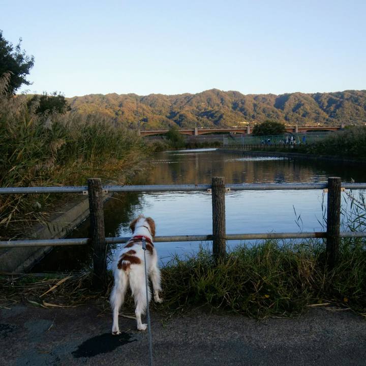 41545353 7176 410e a245 61c0e2bdb3d0 1540037017248