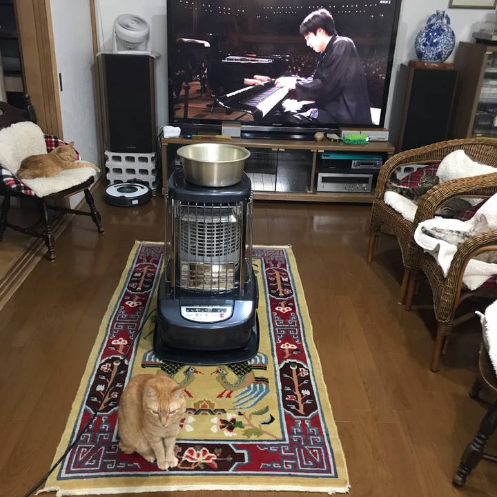 41546601 1e25 4dd6 bad2 814f60cb98fd 1612700816320