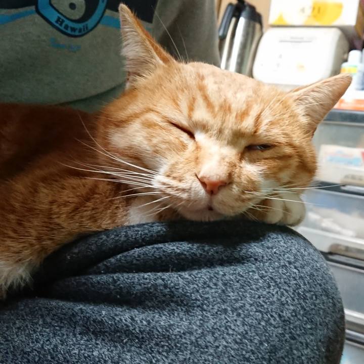 415485ac 1dce 4176 be8e 2e4a97abf087 1608632612429