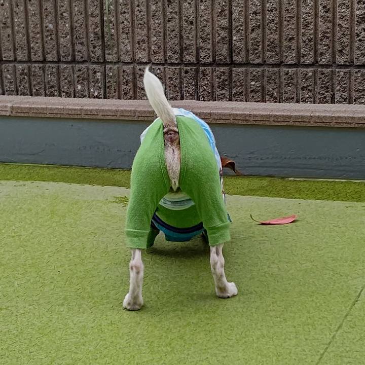 4154a411 4266 4c7f af99 71c70da36c2b 1650458758448