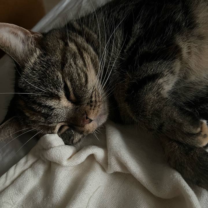 4154d034 7cac 449f 8af8 173eb723e177 1734788409861